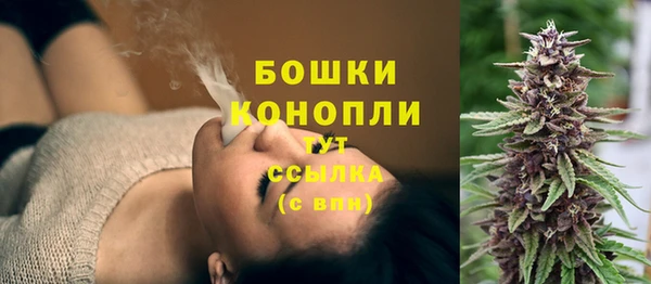 индика Богородск