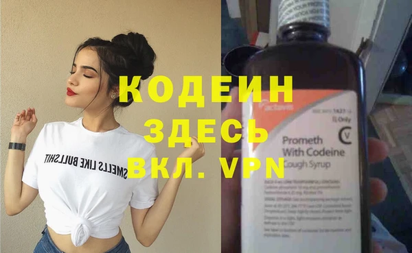 индика Богородск