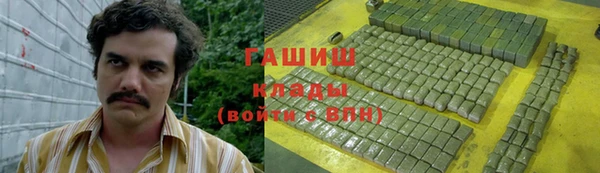 индика Богородск