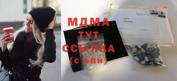 индика Богородск