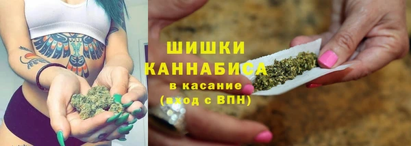 ГАЛЛЮЦИНОГЕННЫЕ ГРИБЫ Богородицк