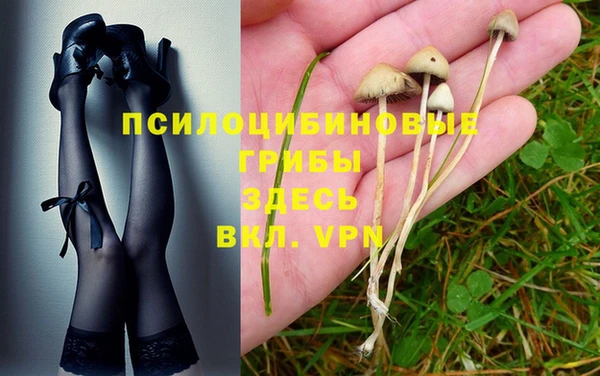 ГАЛЛЮЦИНОГЕННЫЕ ГРИБЫ Богородицк