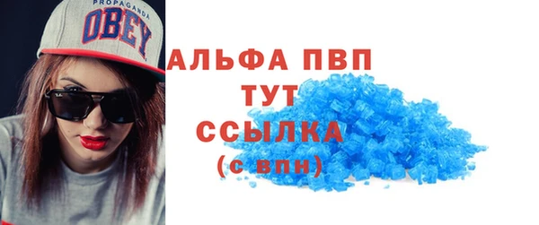 индика Богородск