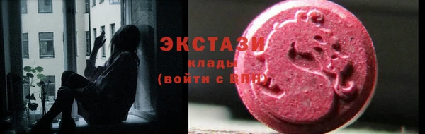 индика Богородск