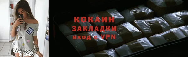 индика Богородск