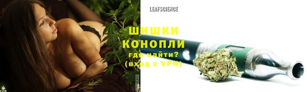 ГАЛЛЮЦИНОГЕННЫЕ ГРИБЫ Богородицк
