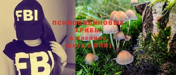индика Богородск