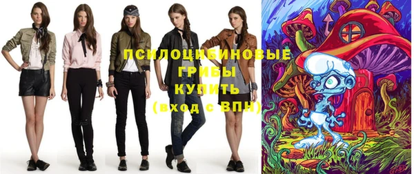 индика Богородск