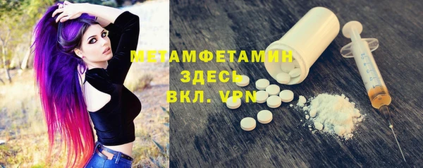 индика Богородск
