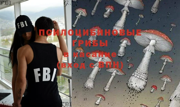 ГАЛЛЮЦИНОГЕННЫЕ ГРИБЫ Богородицк