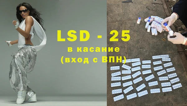 индика Богородск