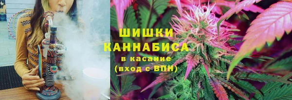 ГАЛЛЮЦИНОГЕННЫЕ ГРИБЫ Богородицк