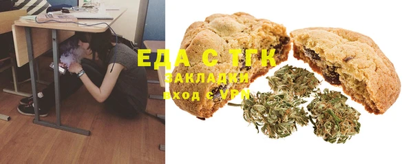индика Богородск