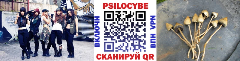Галлюциногенные грибы ЛСД  дарнет шоп  Ковдор 